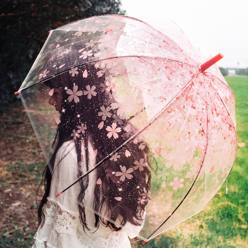 벚꽃 투명 우산 예쁜 핑크 장우산 OUB-CH550